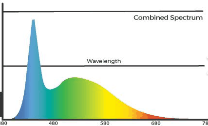 Spectral distribution of LED Aquarium light