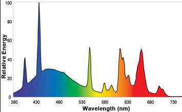 Spectral distribution of fluorescent tube