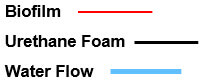 Foam Structure