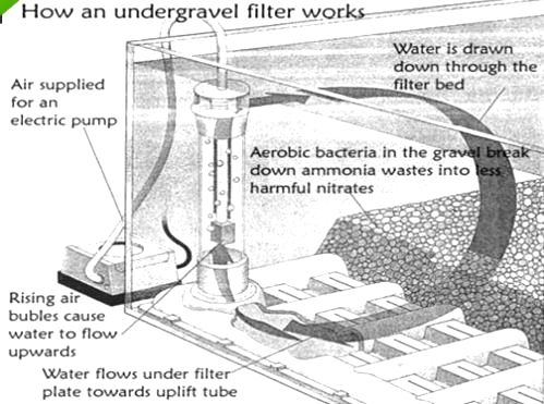 operation of an under gravel filter