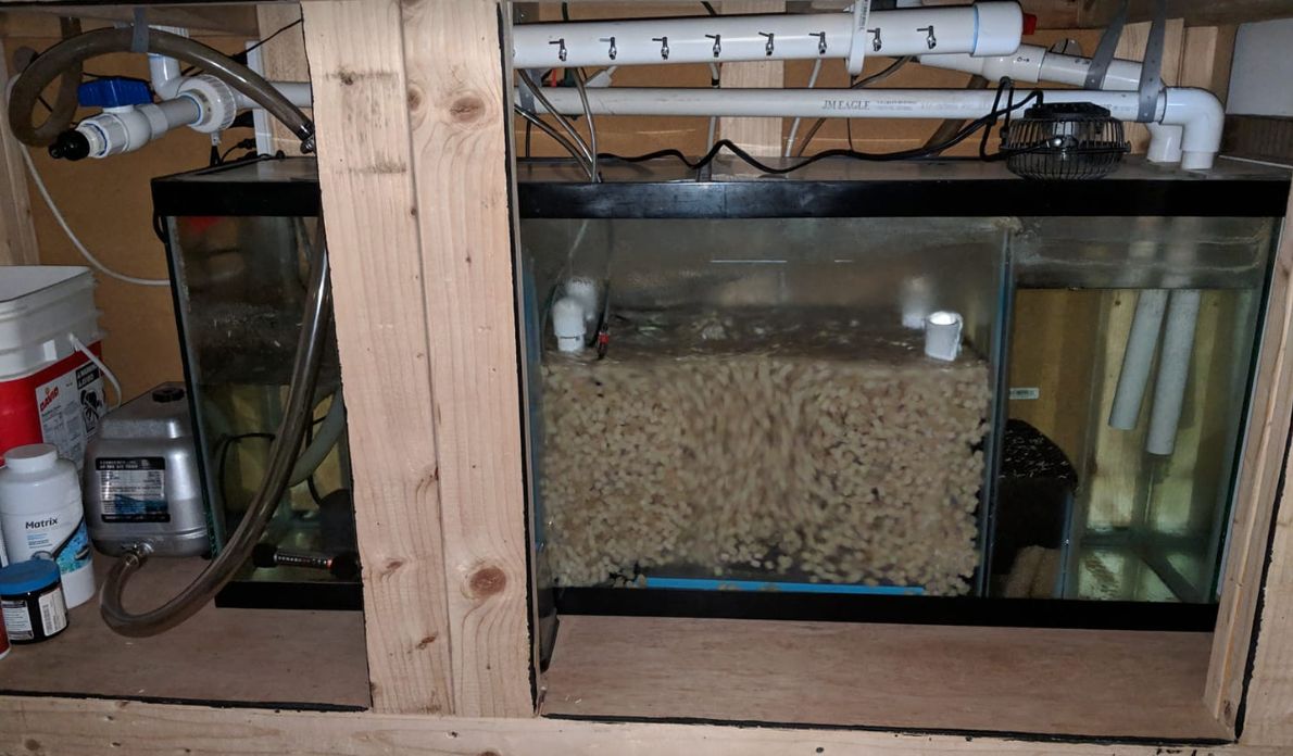 8.6.6. Do-it-yourself Sump Filters for Aquariums