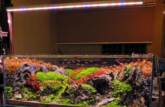 Lighting in an aquarium