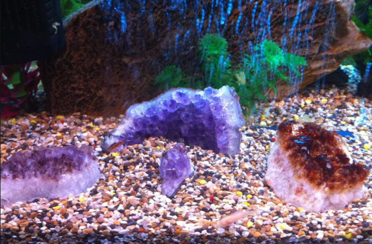 Amethyst and Citrine Quartz in Aquarium
