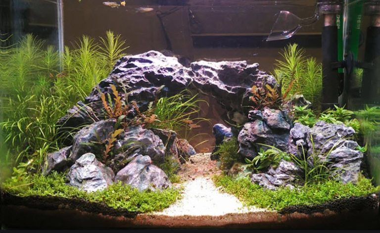 14.3. Rocks - Aquarium Science