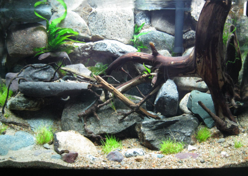 GracesDawn Aquarium Fish Tank Pine Bark Stone Shape Landscaping Decoration 