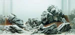 Rocks in the Aquarium