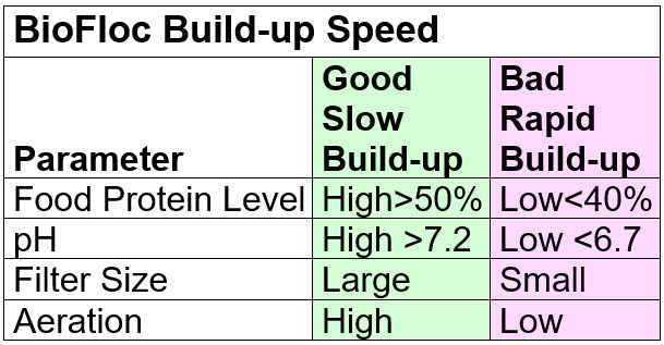 BioFloc Build-up Speed