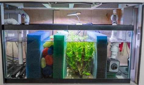 Aquarium Sump Filters - Diy Aquarium Sump Ideas