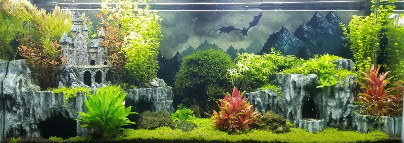 Planted Aquarium 18