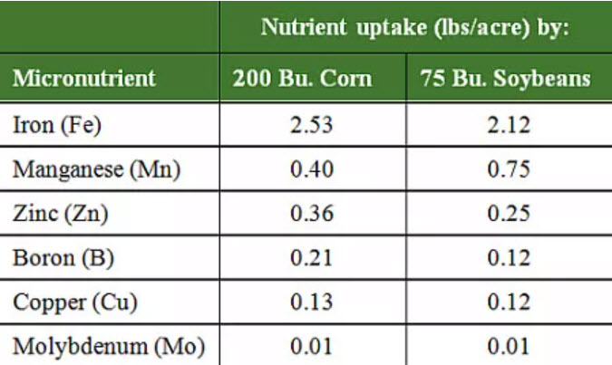 Chart of Micronutrient Requirements