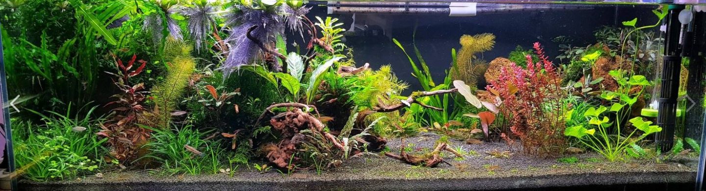 15.5.2. Aquarium Fertilizer “Programs”