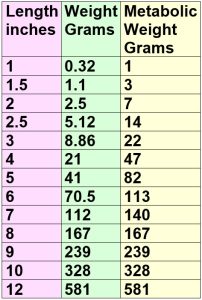 8.3.1. Canisters in Depth