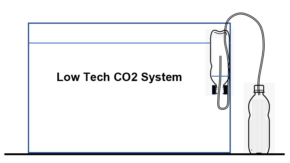 Low Tech CO2 System