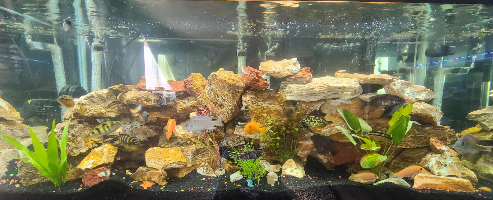 Aquarium Filled With Various Rocks
