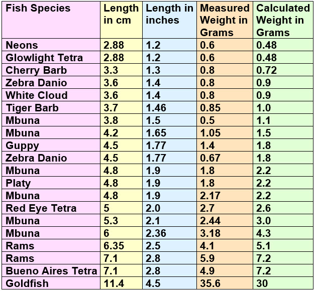 Fish Length versus Weight