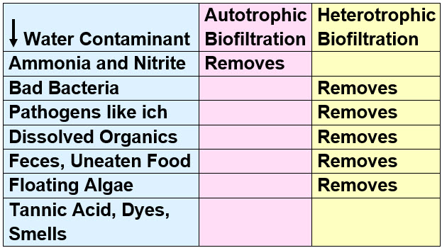 Biofiltration Bacteria